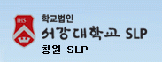 에스엘피 이미지