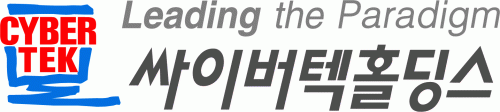 싸이버텍홀딩스