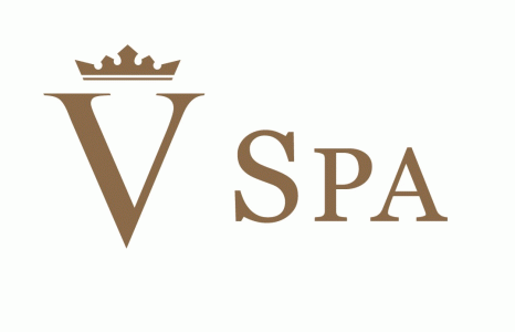 V SPA 롯데에비뉴엘점의 기업로고