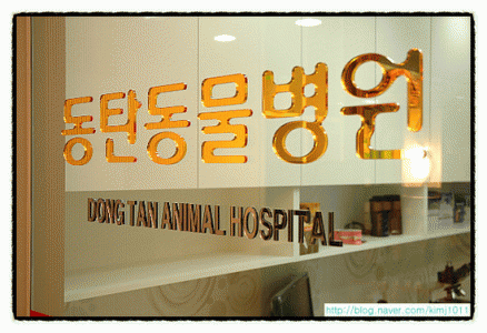 동탄동물병원