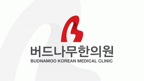 버드나무한의원