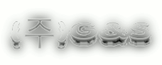 (주)GNS_KOREA의 기업로고
