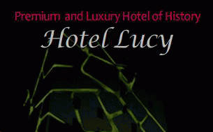 루시 관광 호텔