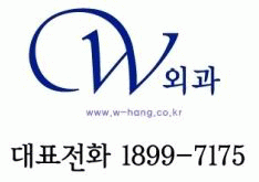 (주)더블유에이치에스의 기업로고