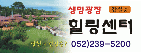 (주)경매나라의 기업로고