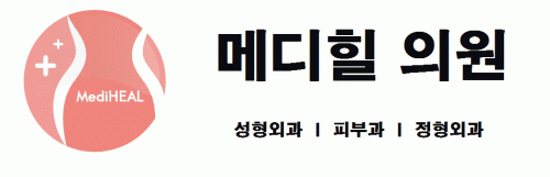 (주)디엔엘코리아의 기업로고