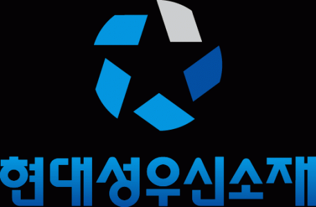 현대성우신소재(주) 충주공장의 기업로고