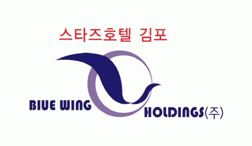 블루윙홀딩스(주)의 기업로고