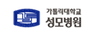가톨릭대학교성모병원의 기업로고