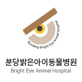 분당밝은아이동물병원