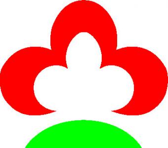 [세움종합건설주식회사] 기술직, 건축시공 정규직 채용(경력) - 사람인