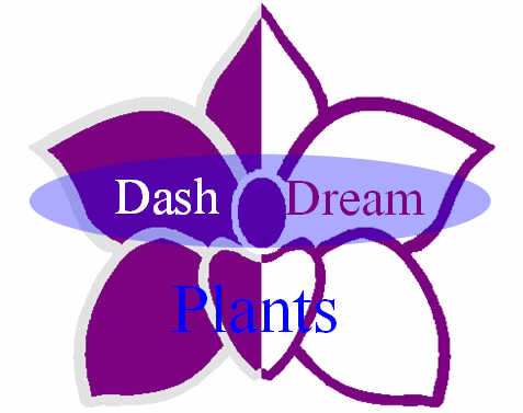 DASH DREAM PLANT INC의 기업로고