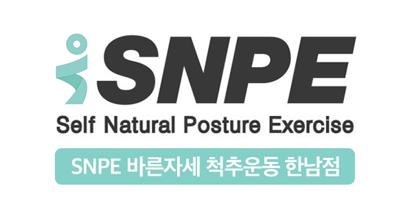 에스엔피이(SNPE)바른자세척추운동한남점의 기업로고