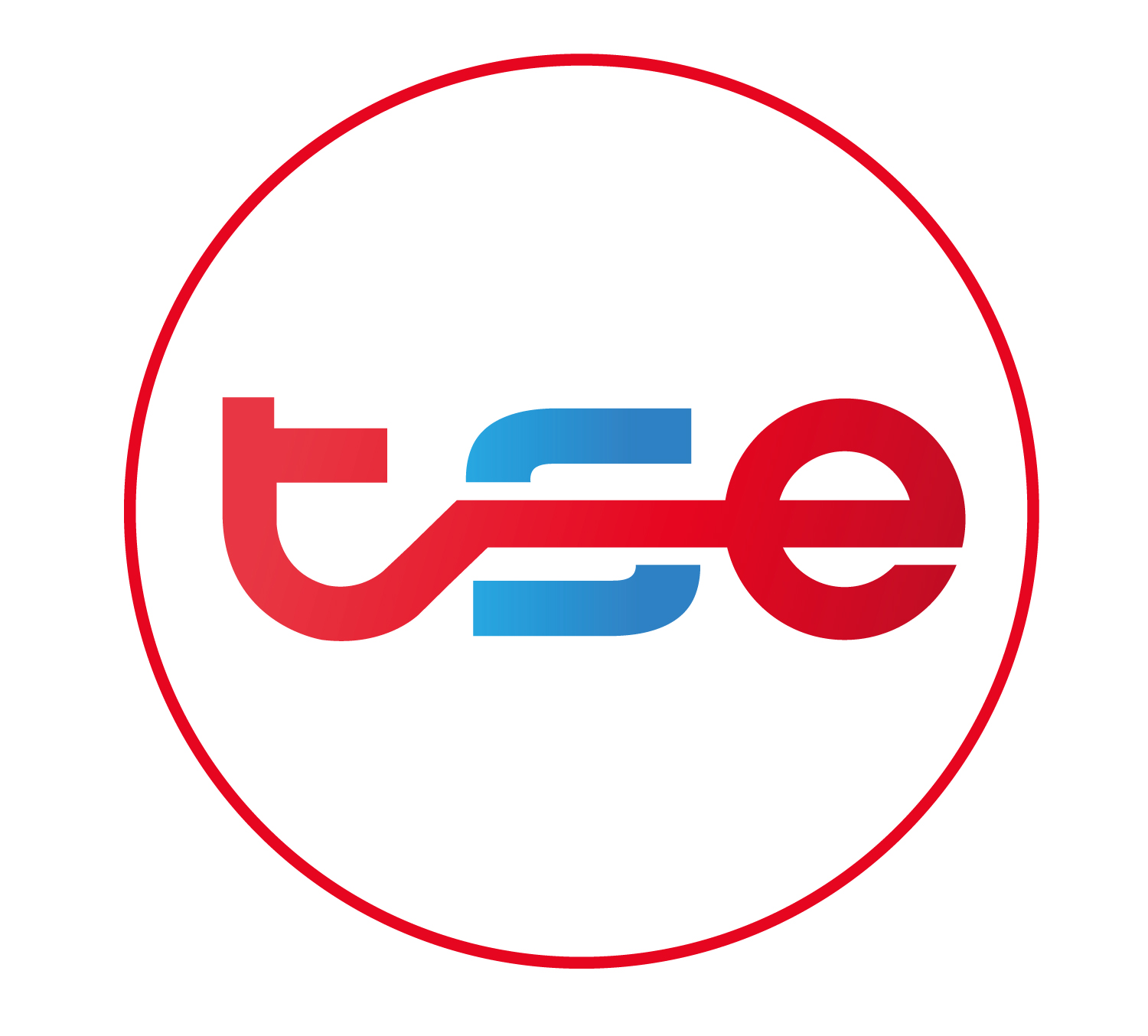 티에스이 (T.S.E)의 기업로고