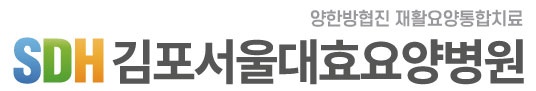 김포서울대효요양병원의 기업로고