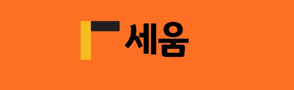 세움솔루션의 기업로고