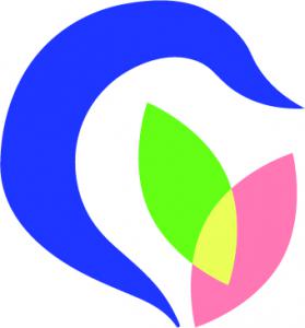 솔언어청각연구소