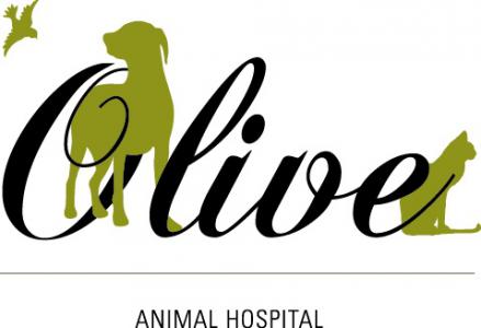 올리브동물병원