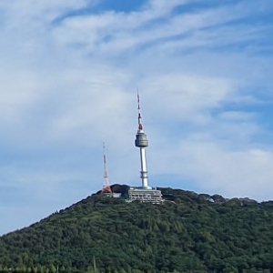 더자이네트웍스(주)의 기업로고