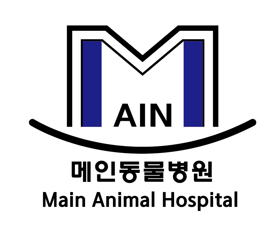 메인동물병원