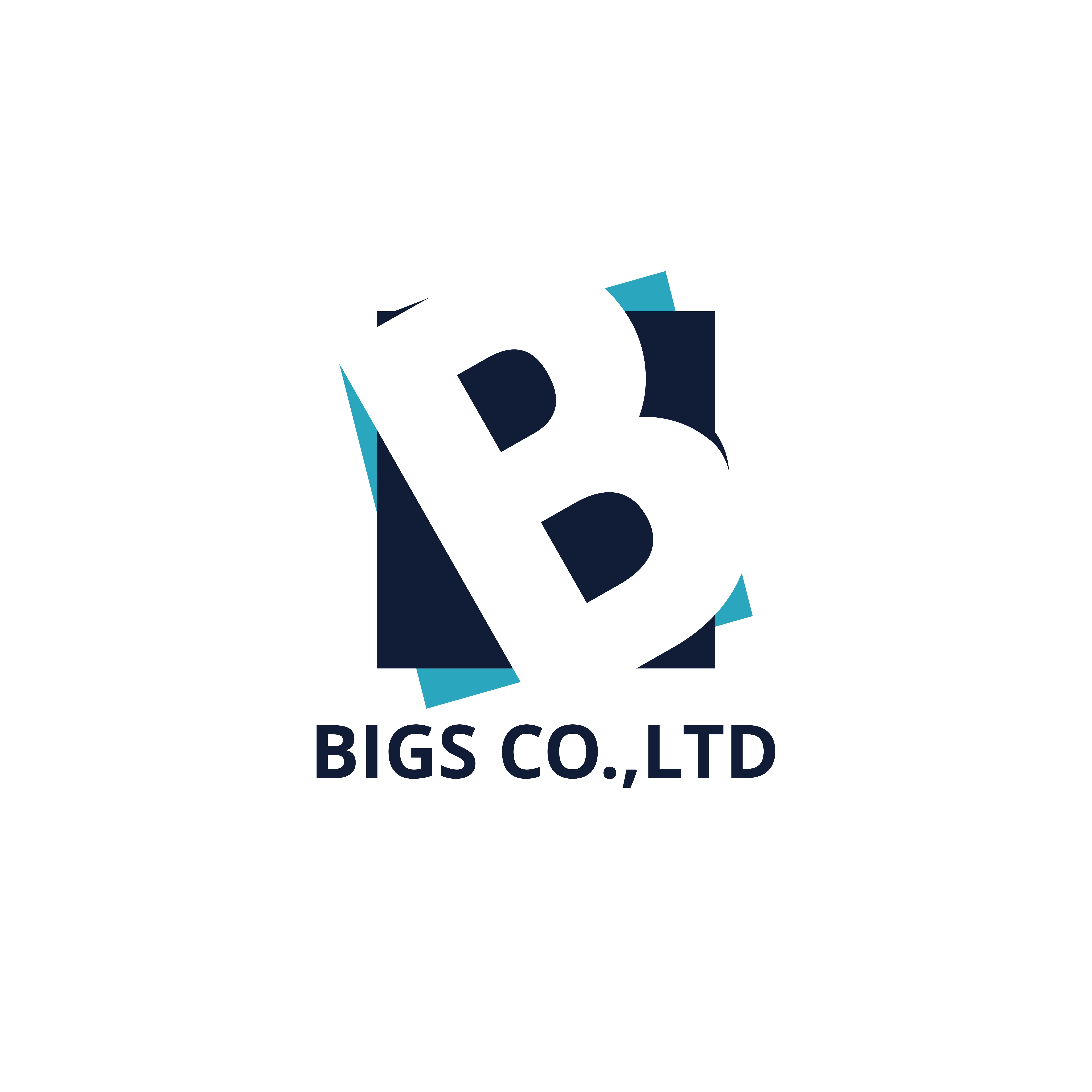 주식회사빅스(BIGSCo.,Ltd)의 기업로고