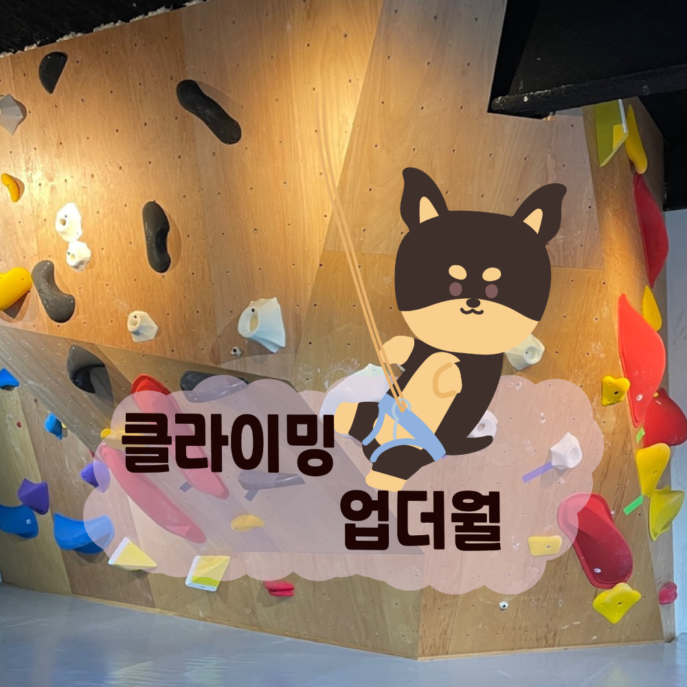 스포츠라인 클라이밍의 기업로고