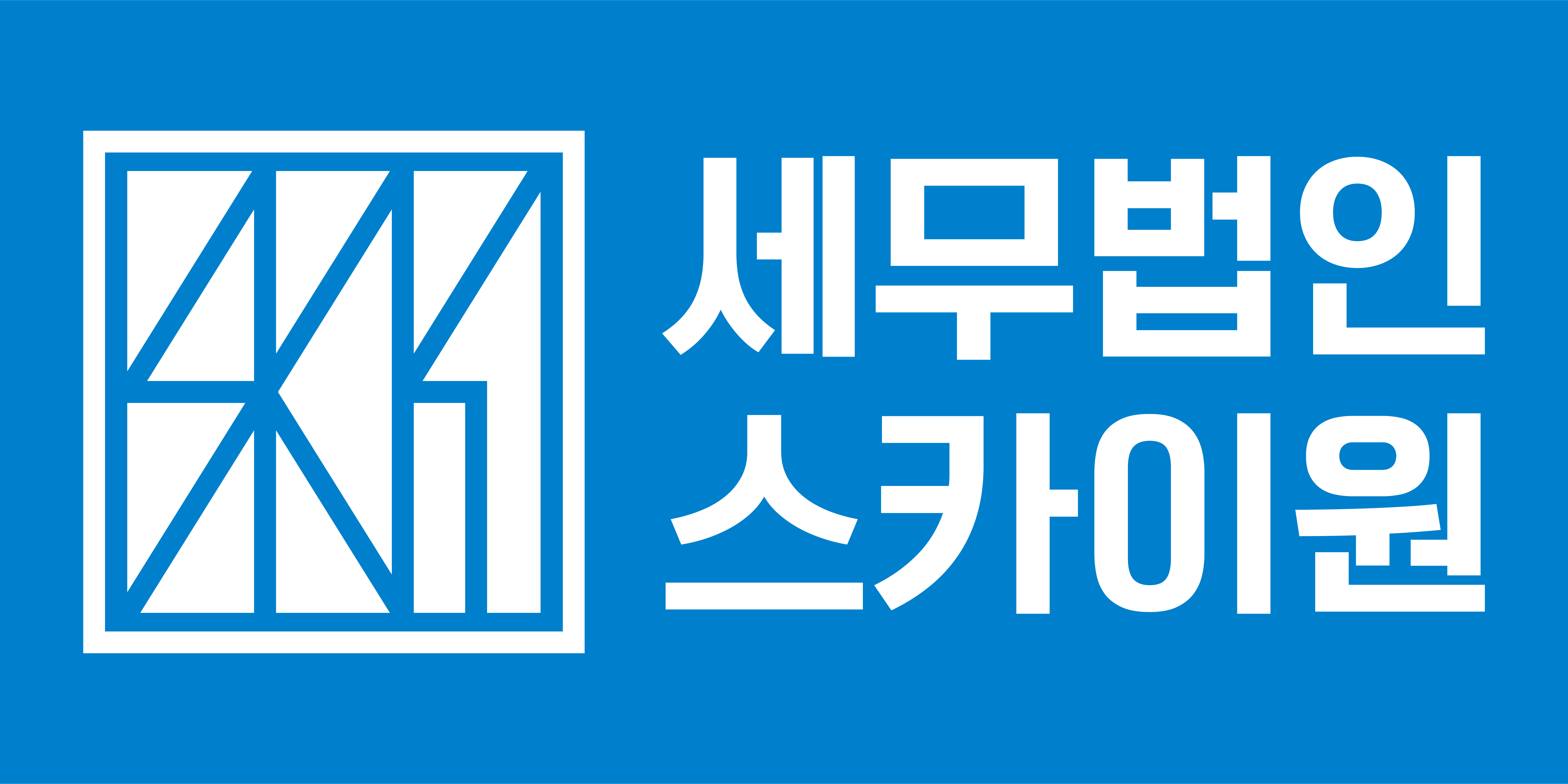 세무법인스카이원의 기업로고