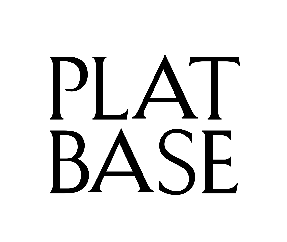 플랫베이스(PLATBASE)의 기업로고
