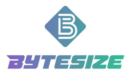 주식회사 바이트사이즈