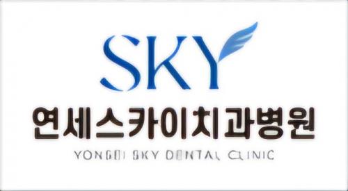 연세스카이치과병원