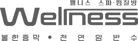 웰니스스파찜질방