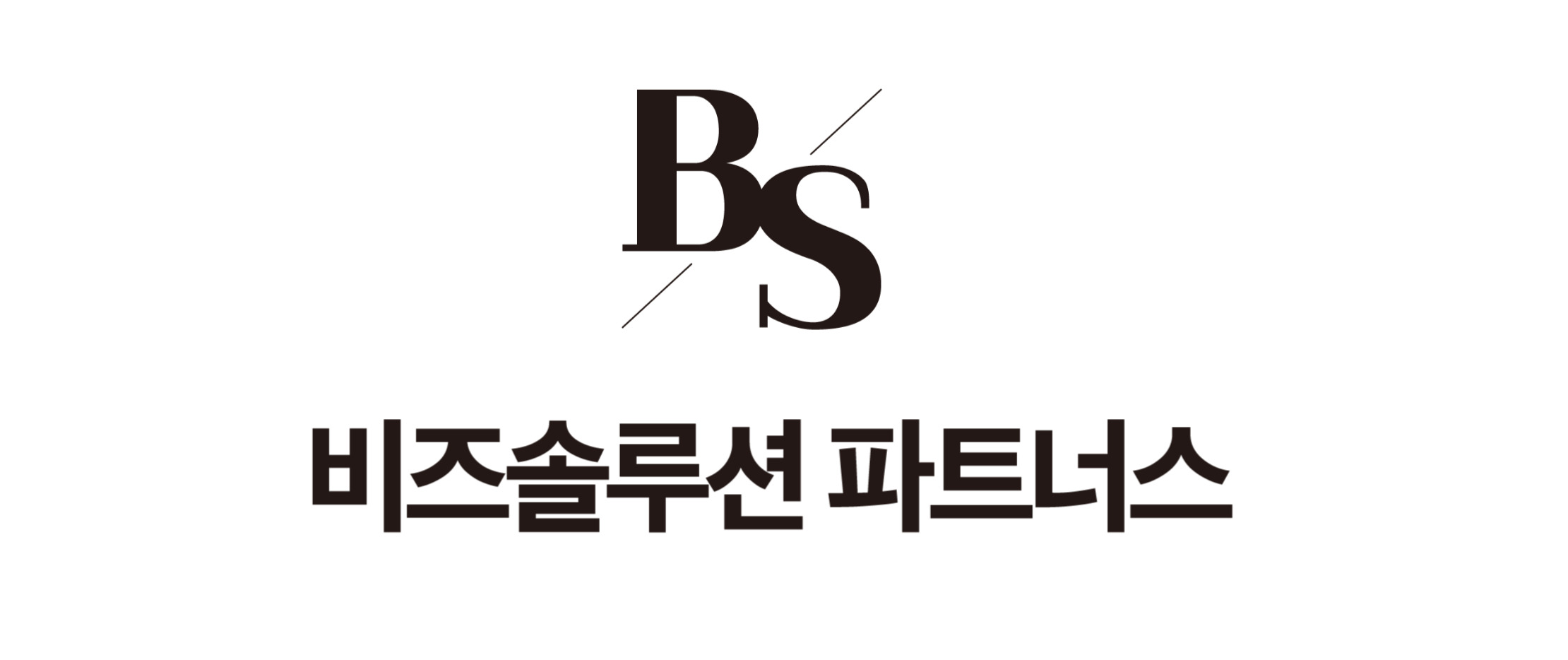비즈솔루션파트너스 직무리포트 | 2025년 합격전략, 역량체크, 멘토링 등 - 사람인
