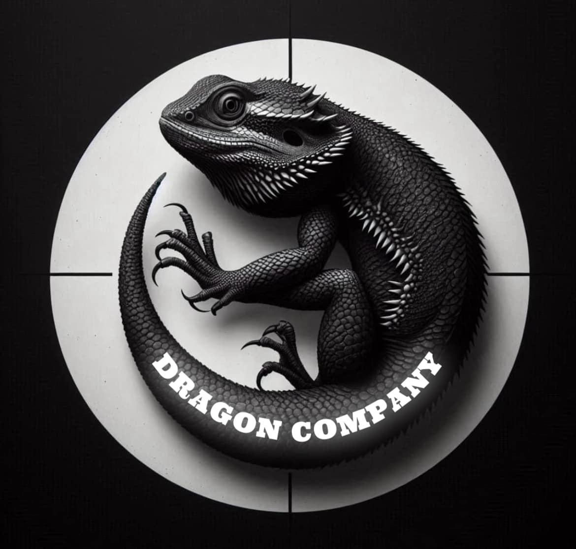 드래곤컴퍼니