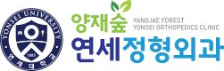 양재숲연세정형외과