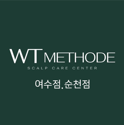 WT메소드의 기업로고