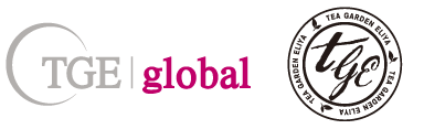 티지이글로벌(TGE GLOBAL)