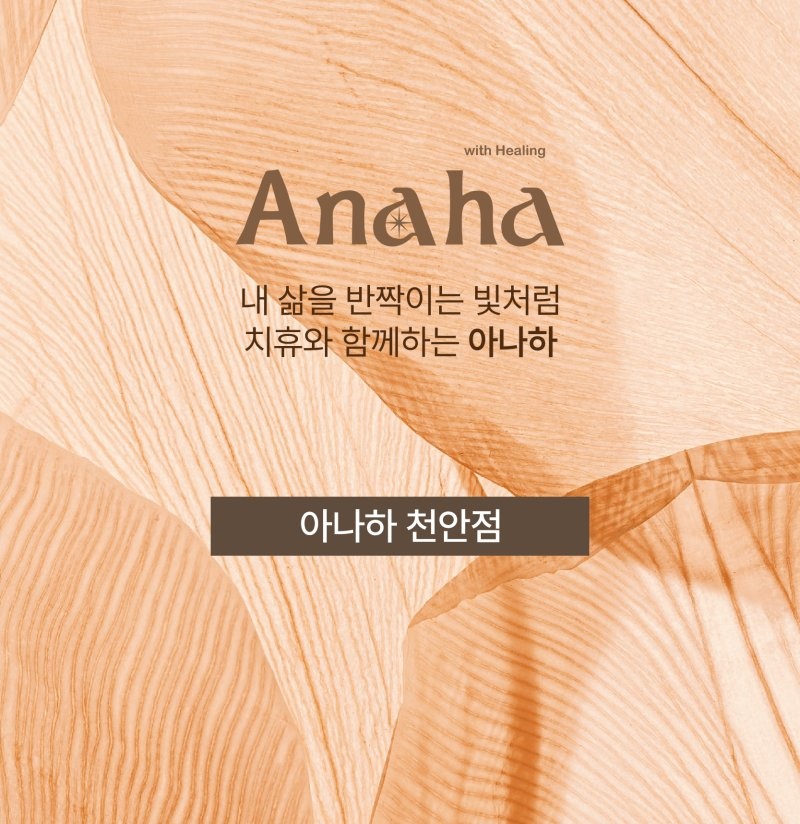 아나하 천안점의 기업로고