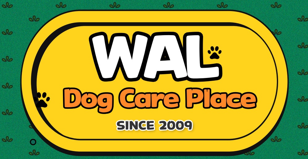 왈도그케어플레이스(WALDogCarePlace)사계센터의 기업로고