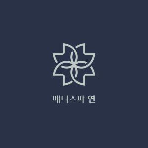메디스파 연