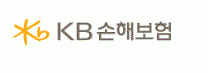 (주)케이비손해보험