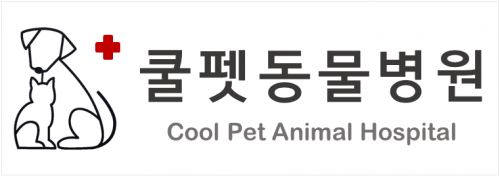 쿨펫동물병원(탄방점)