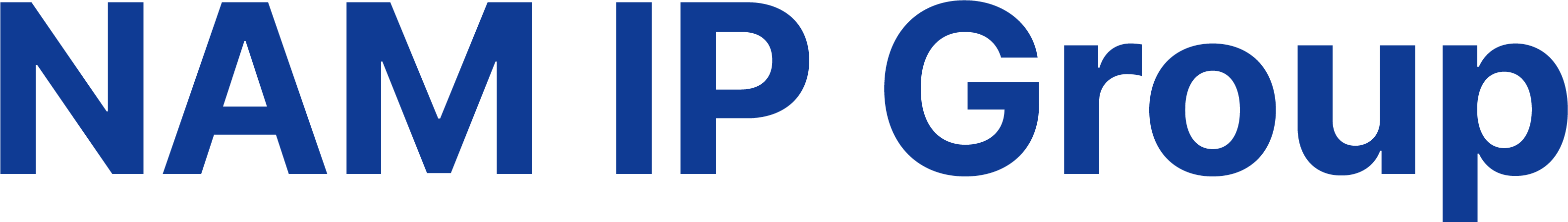 특허법인(유)남아이피그룹의 기업로고