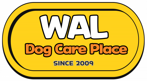 제주애견카페왈 구억점