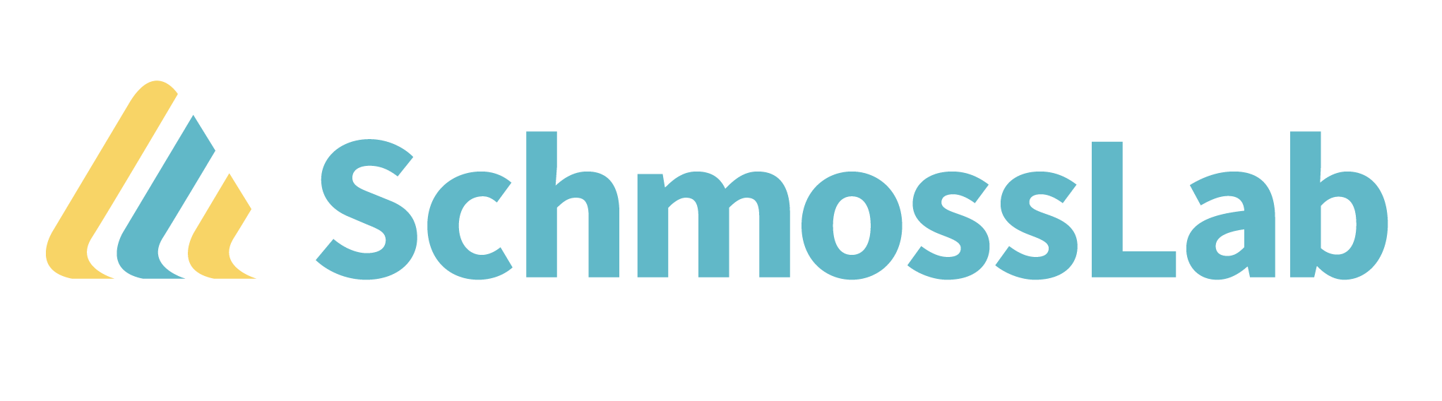 (주)쉬모스랩의 기업로고