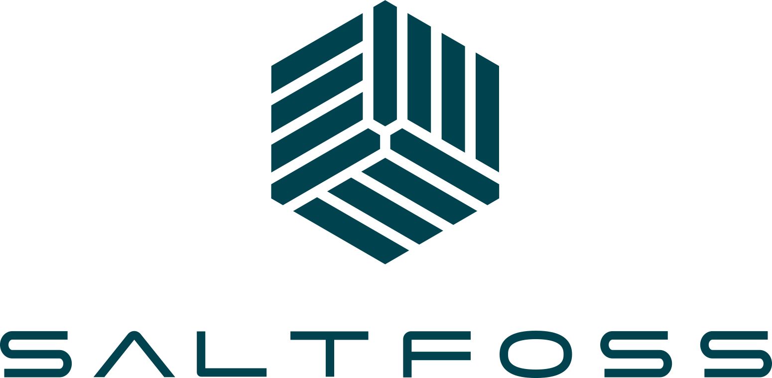 솔트포스에너지코리아주식회사의 기업로고