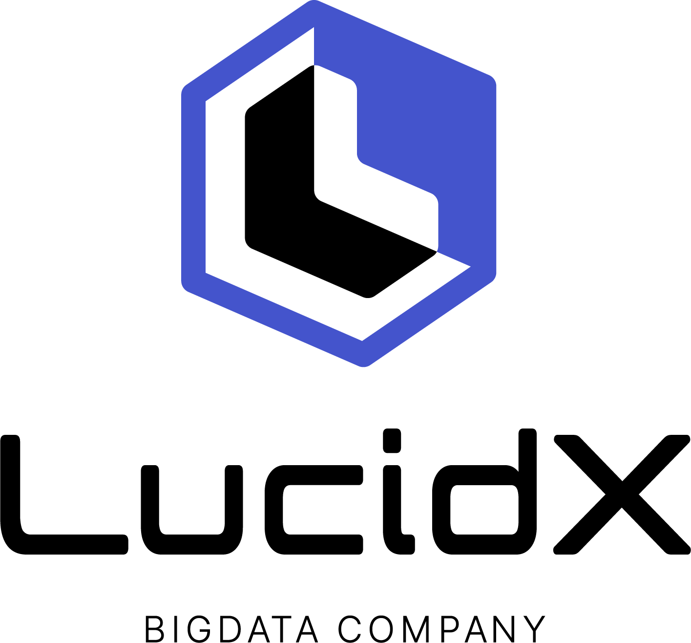 주식회사 루시드엑스(LucidX)의 기업로고