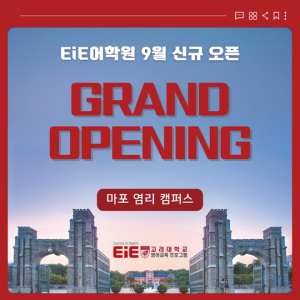 이아이이(EiE)고려대학교영어교육프로그램마포엄리학원
