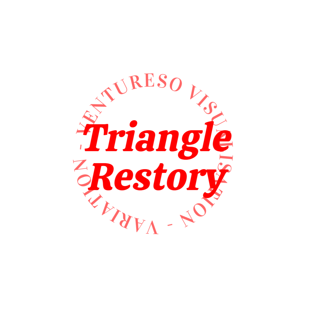 (주)트라이앵글리스토리의 기업로고